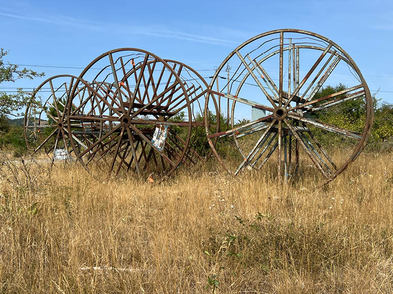 Bartas